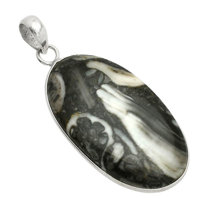 Natural Mexican Cabbing Fossil Pendant P-1001 SDP150404