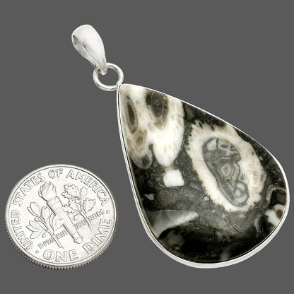 Natural Mexican Cabbing Fossil Pendant P-1001 SDP150429
