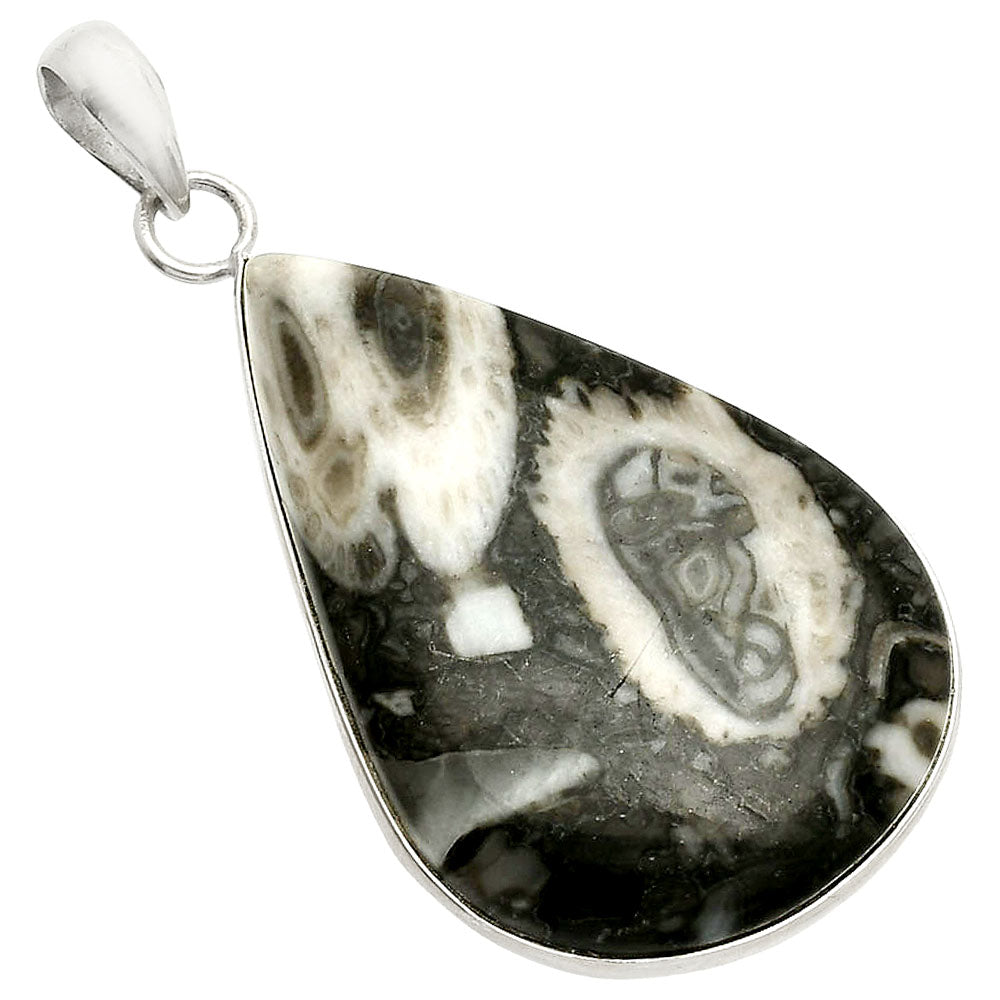 Natural Mexican Cabbing Fossil Pendant P-1001 SDP150429