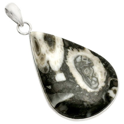 Natural Mexican Cabbing Fossil Pendant P-1001 SDP150429