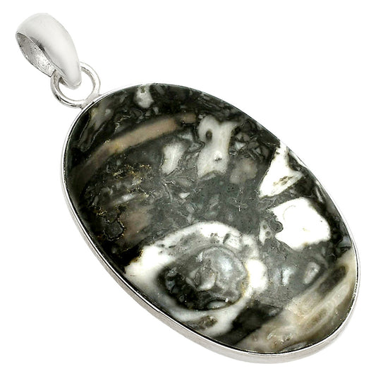 Natural Mexican Cabbing Fossil Pendant P-1001 SDP150452