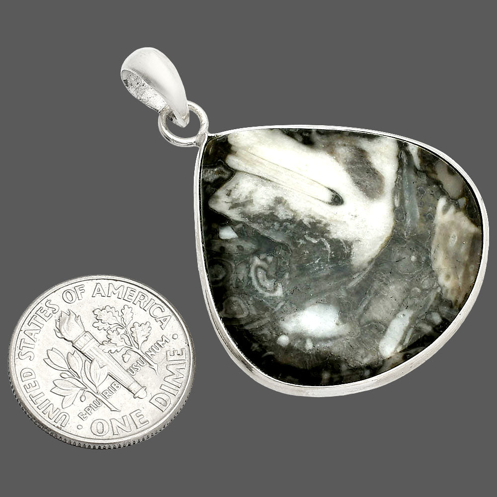 Natural Mexican Cabbing Fossil Pendant P-1001 SDP150454