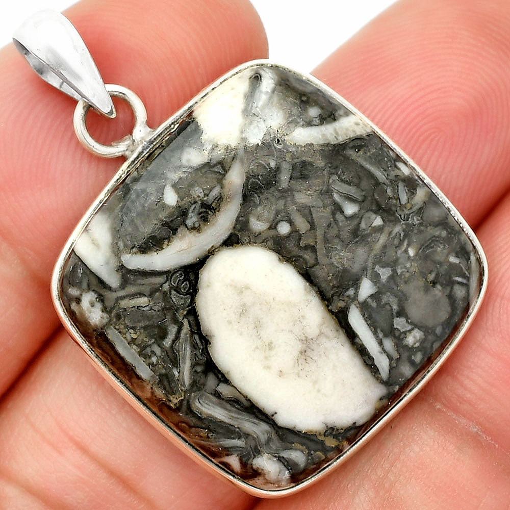 Natural Mexican Cabbing Fossil Pendant P-1001 SDP150466