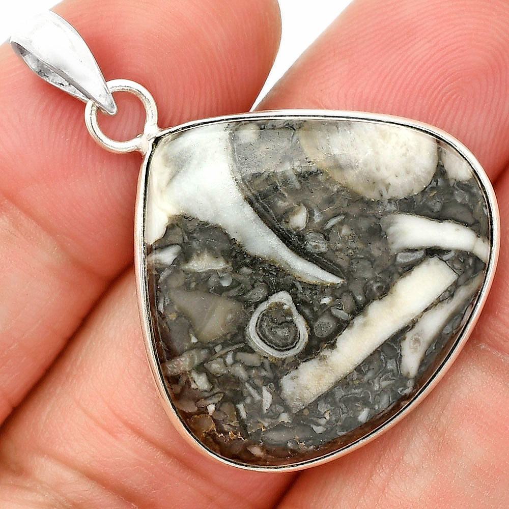 Natural Mexican Cabbing Fossil Pendant P-1001 SDP150480