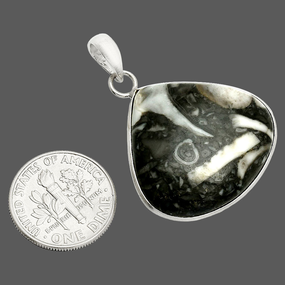 Natural Mexican Cabbing Fossil Pendant P-1001 SDP150480