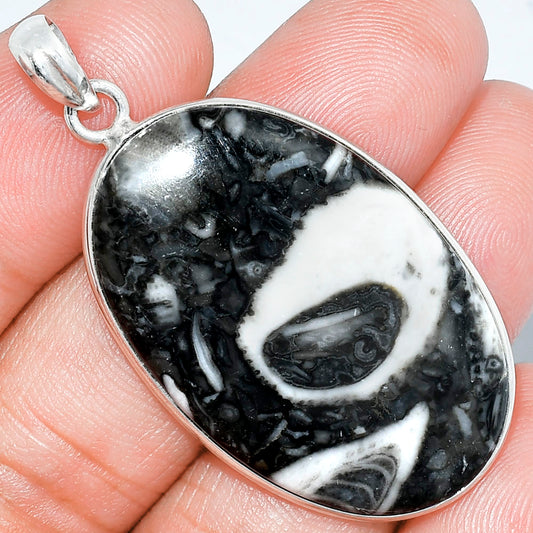 Natural Mexican Cabbing Fossil Pendant P-1001 SDP153211