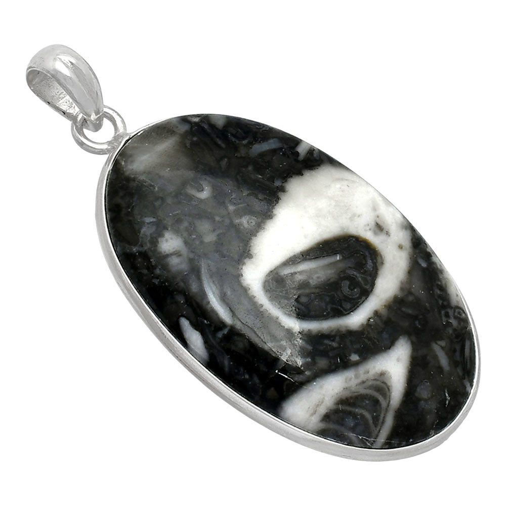 Natural Mexican Cabbing Fossil Pendant P-1001 SDP153211