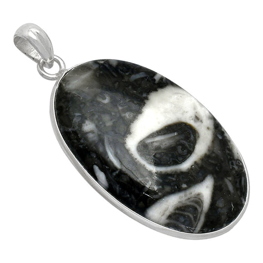 Natural Mexican Cabbing Fossil Pendant P-1001 SDP153211
