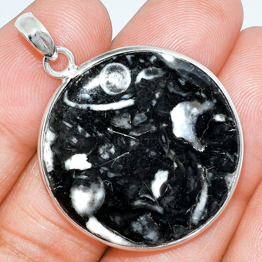 Natural Mexican Cabbing Fossil Pendant P-1001 SDP153321