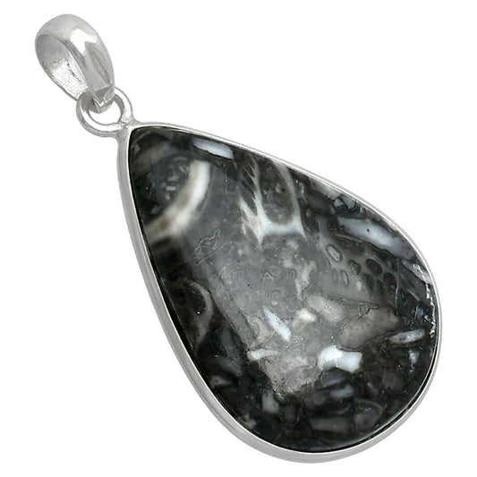 Natural Mexican Cabbing Fossil Pendant P-1001 SDP153587