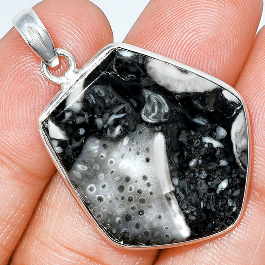 Natural Mexican Cabbing Fossil Pendant P-1001 SDP153607
