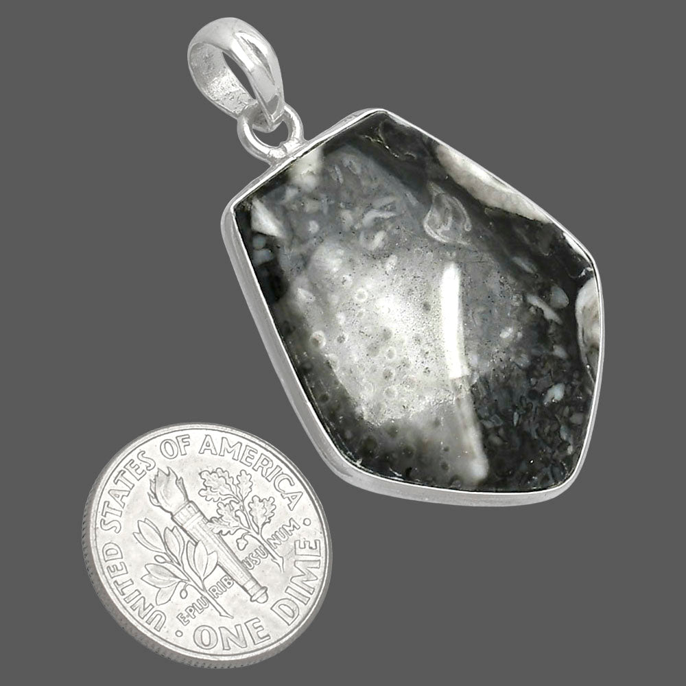 Natural Mexican Cabbing Fossil Pendant P-1001 SDP153607