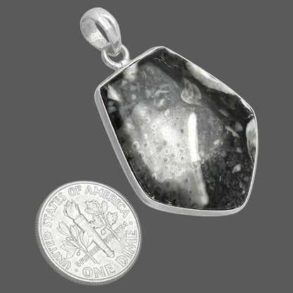 Natural Mexican Cabbing Fossil Pendant P-1001 SDP153607