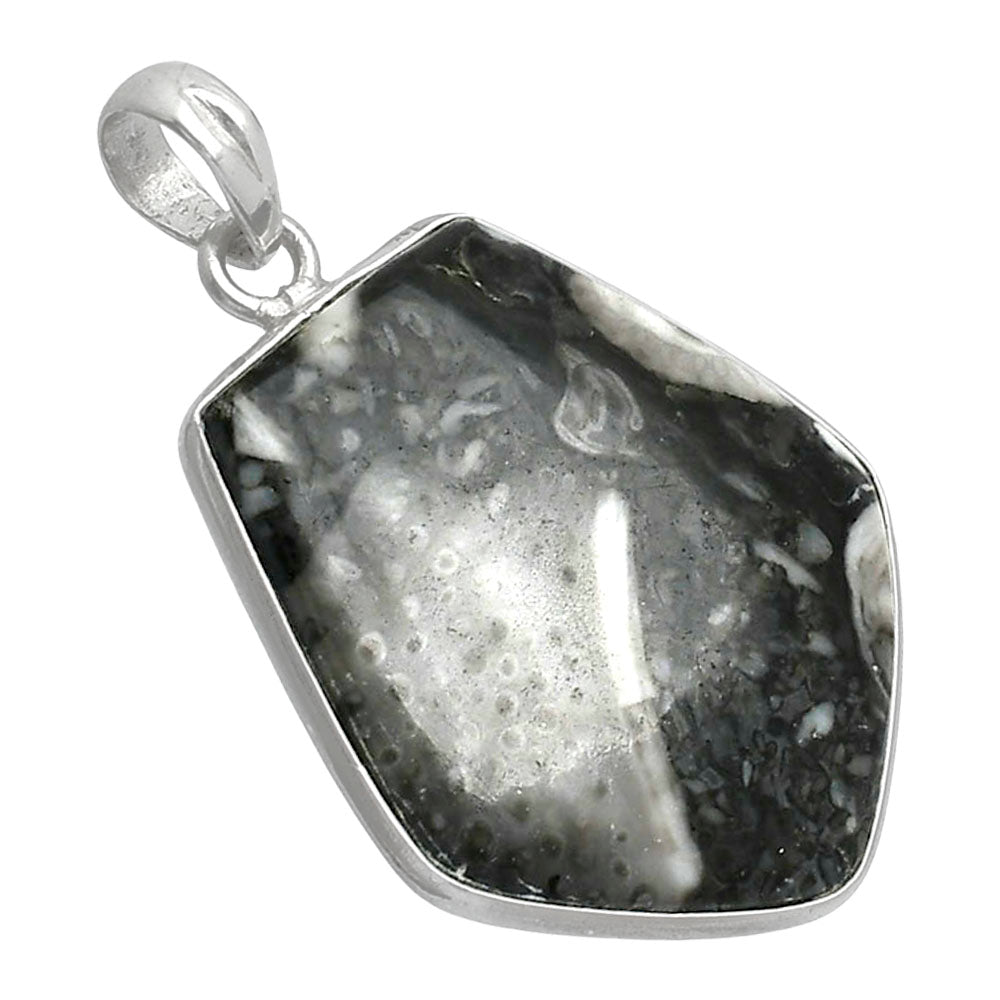 Natural Mexican Cabbing Fossil Pendant P-1001 SDP153607