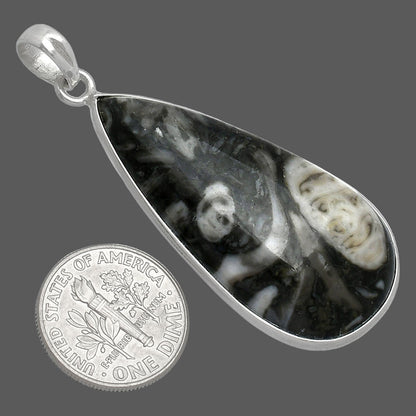 Natural Mexican Cabbing Fossil Pendant P-1001 SDP153703