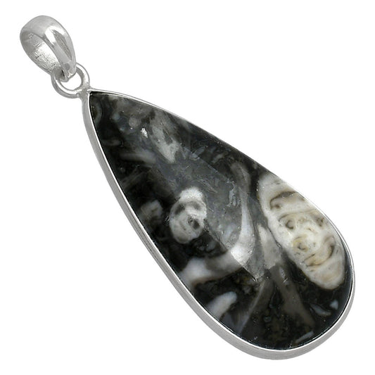 Natural Mexican Cabbing Fossil Pendant P-1001 SDP153703