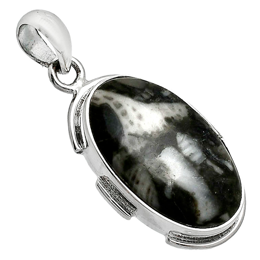 Natural Mexican Cabbing Fossil Pendant P-1072 SDP153920