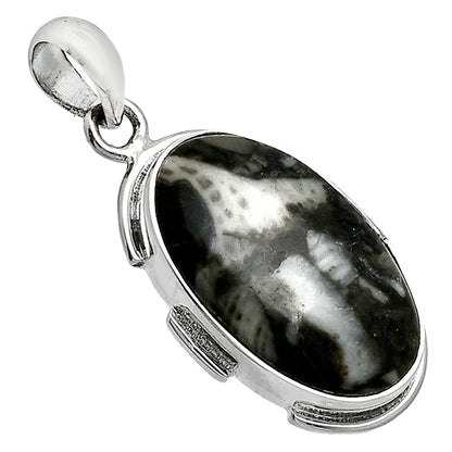 Natural Mexican Cabbing Fossil Pendant P-1072 SDP153920