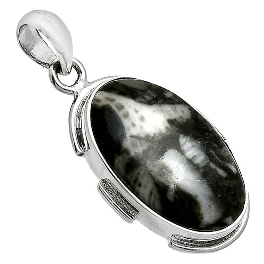 Natural Mexican Cabbing Fossil Pendant P-1072 SDP153920