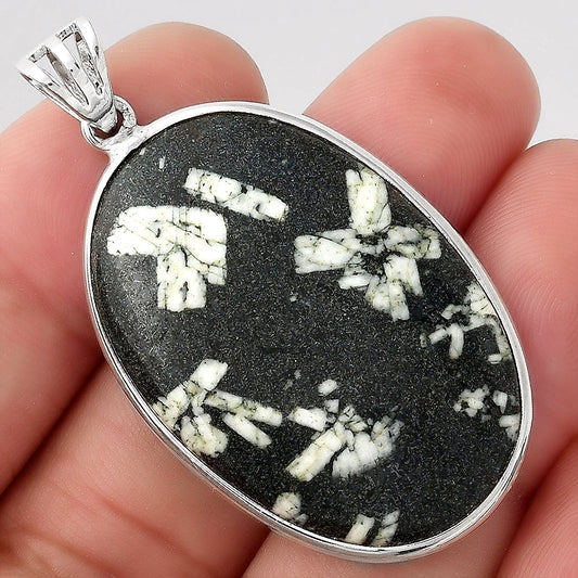 Natural Hornblende Pendant P-1001 SDP155998