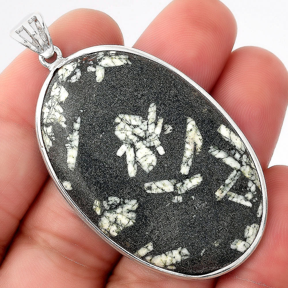 Natural Hornblende Pendant P-1001 SDP156010