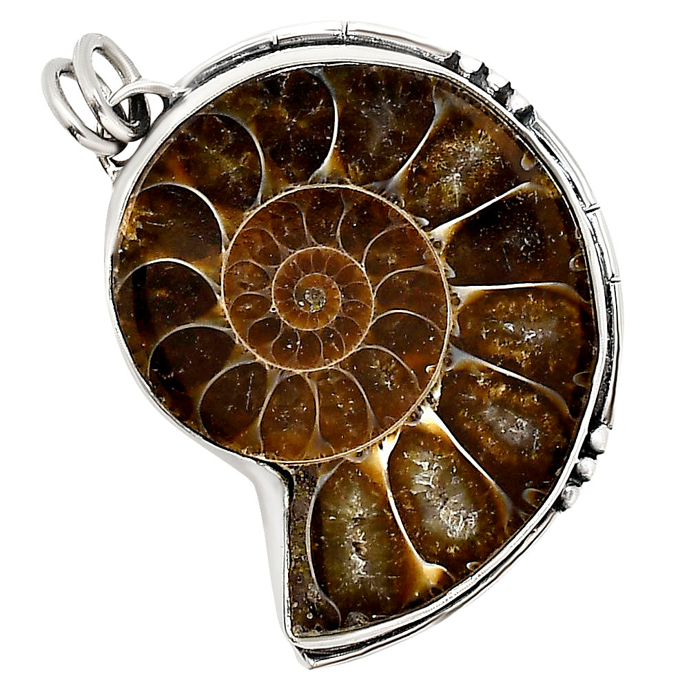 Fossil Ammonite Pendant P-1736 SDP158654
