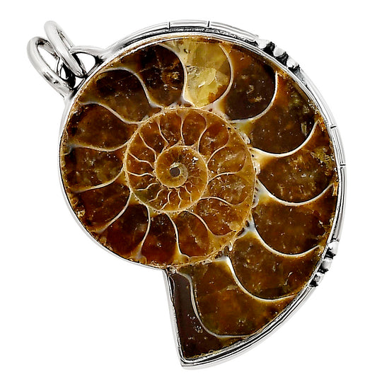 Fossil Ammonite Pendant P-1736 SDP158667