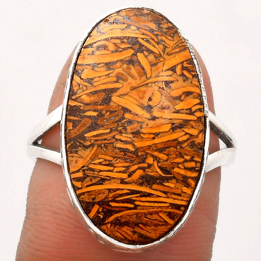 Natural Coquina Fossil Jasper India Ring size-9 R-1191 SDR162554