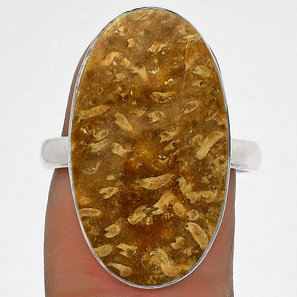 Natural Palm Root Fossil Agate Ring size-8 R-1001 SDR178227