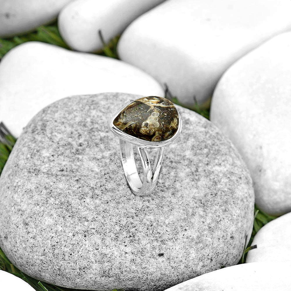Natural Turtella Jasper - USA Ring size-8.5 R-1008 SDR180302