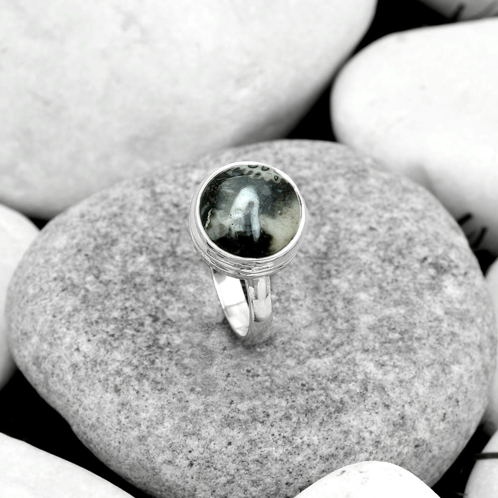 Natural Mexican Cabbing Fossil Ring size-7.5 R-1007 SDR181052