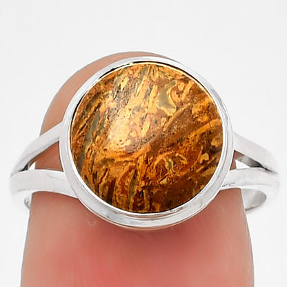 Natural Coquina Fossil Jasper India Ring size-7 R-1008 SDR181196