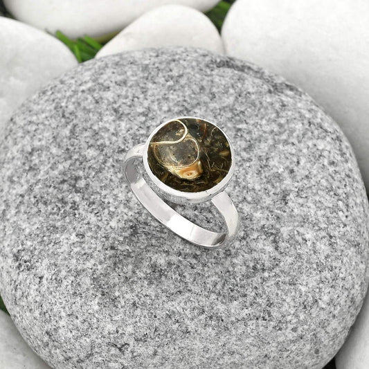 Natural Turtella Jasper - USA Ring size-8 R-1004 SDR181384