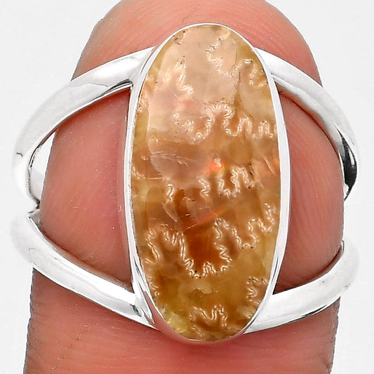 Sutured Ammonite - Madagascar Ring size-8.5 R-1002 SDR198677