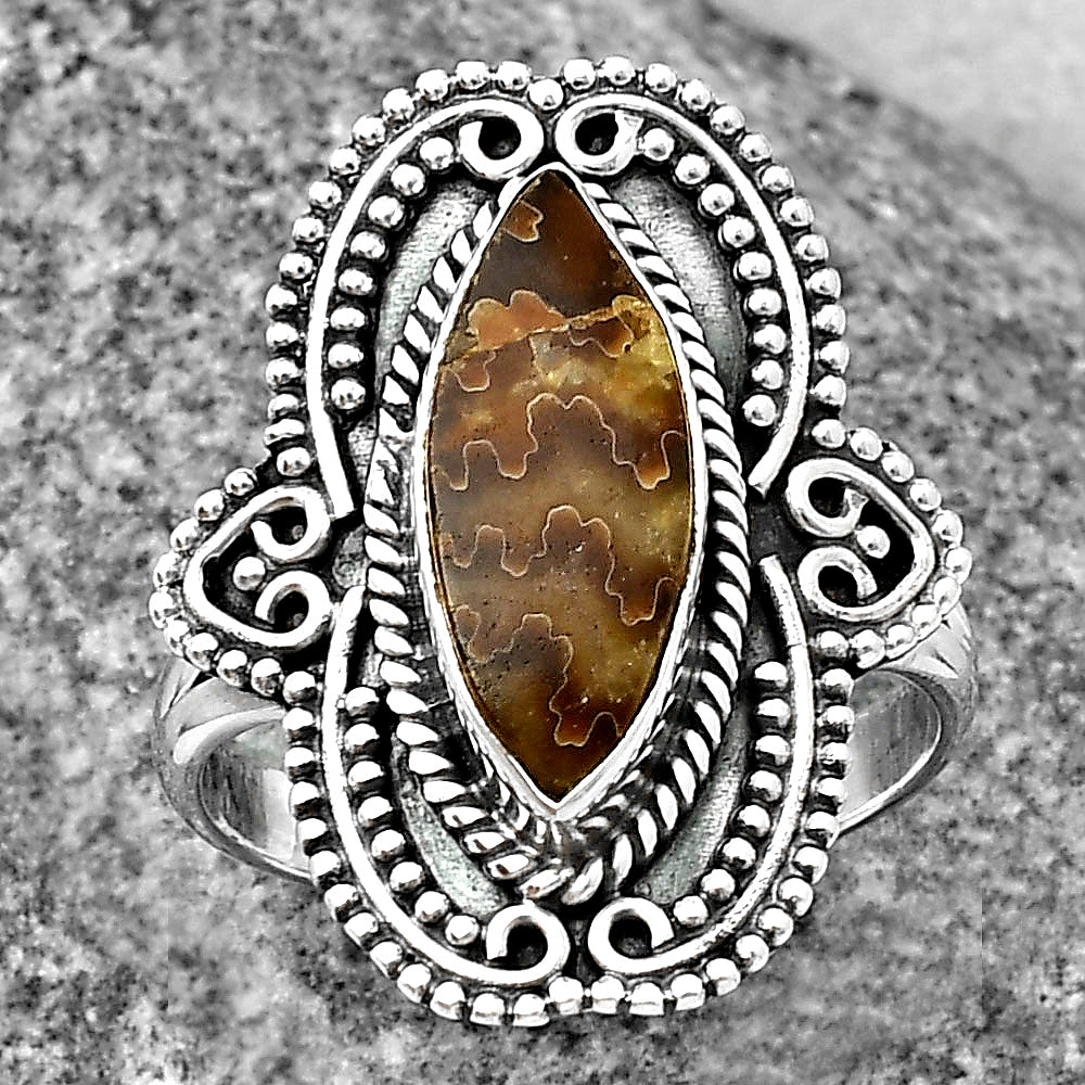 Sutured Ammonite - Madagascar Ring size-8.5 R-1441 SDR206219