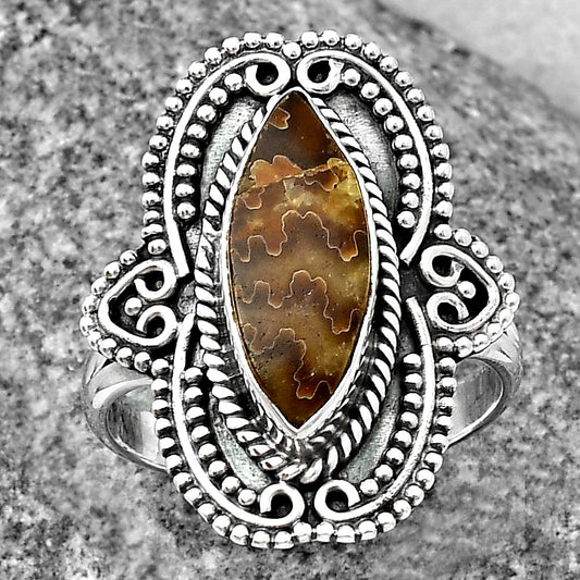 Sutured Ammonite - Madagascar Ring size-8.5 R-1441 SDR206219