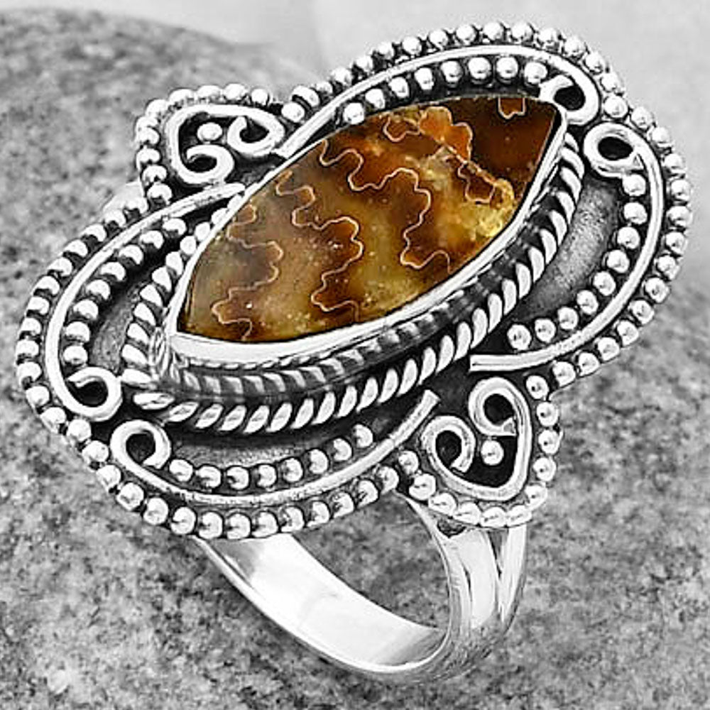 Sutured Ammonite - Madagascar Ring size-8.5 R-1441 SDR206219