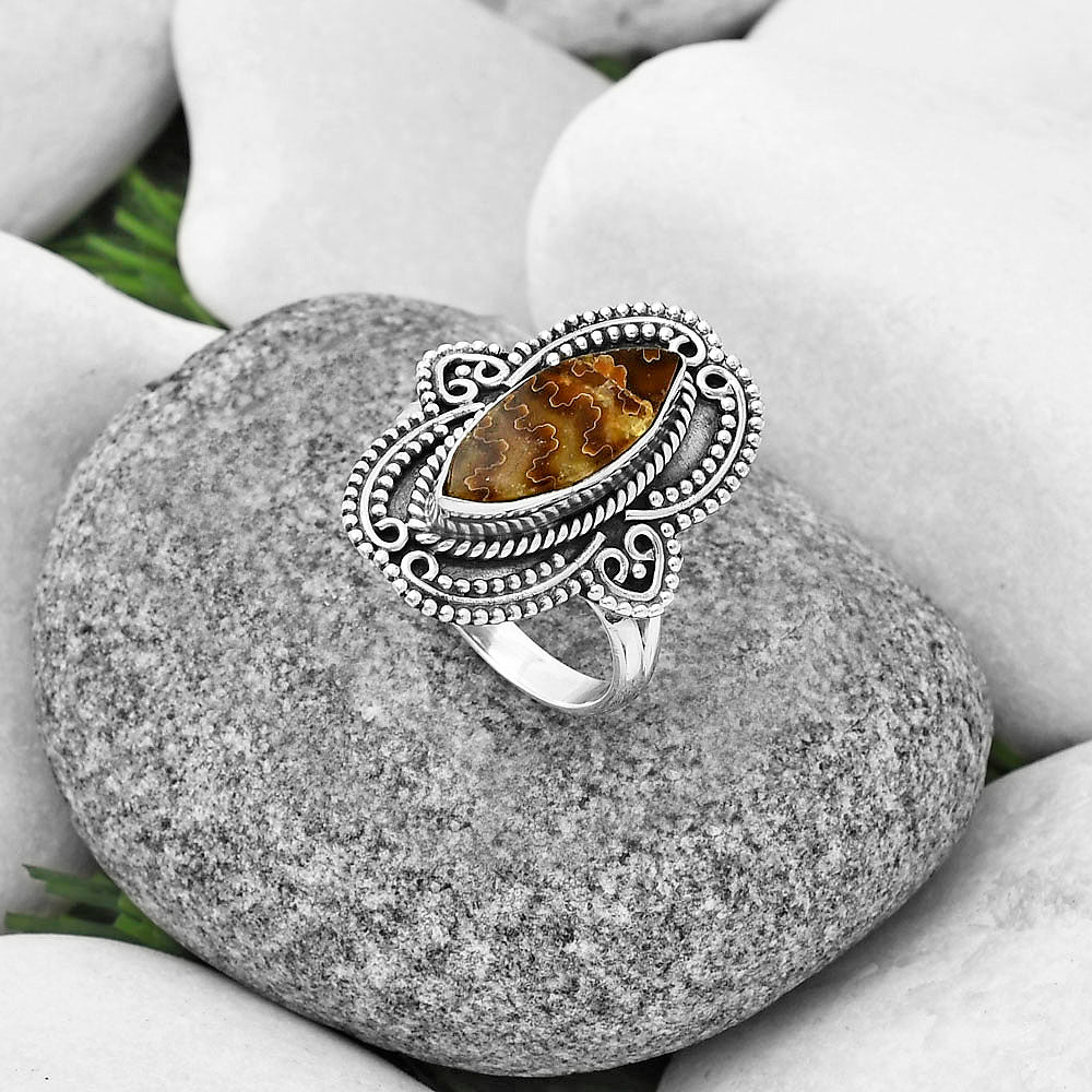 Sutured Ammonite - Madagascar Ring size-8.5 R-1441 SDR206219