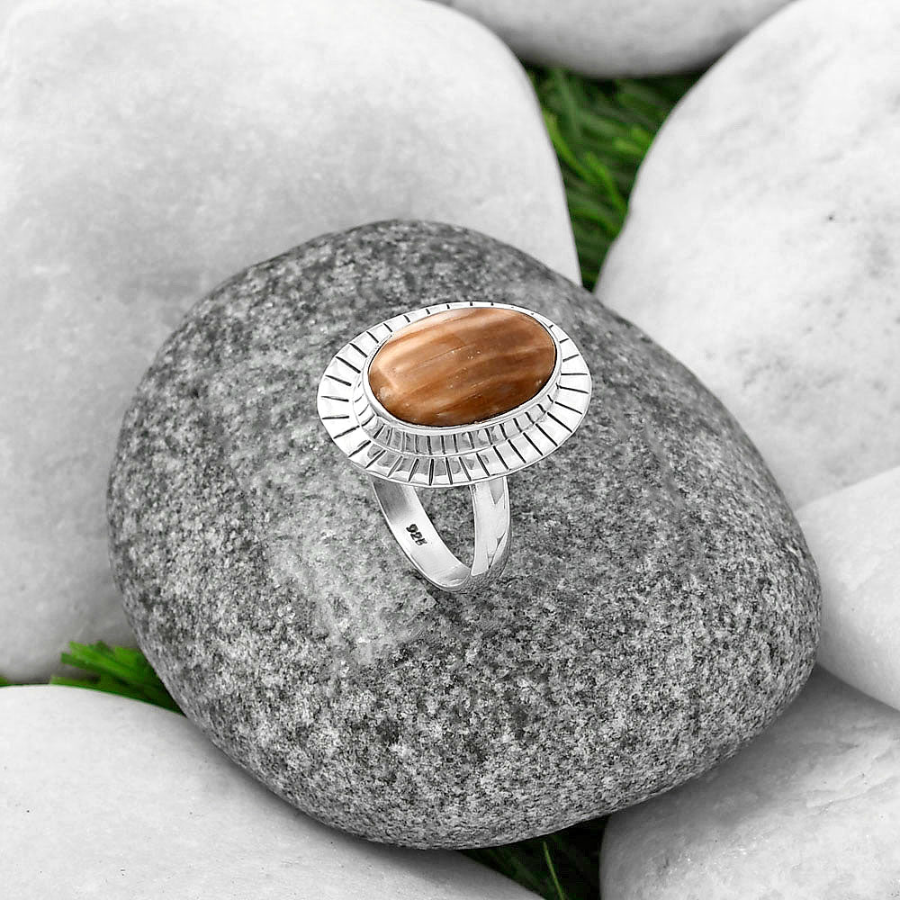 Natural Petrified Wood Ring size-8 R-1086 SDR215762