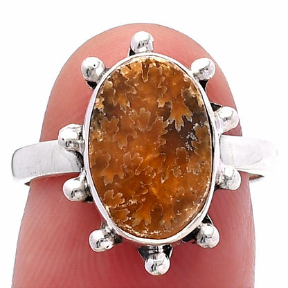 Sutured Ammonite - Madagascar Ring size-7 R-1268 SDR224178