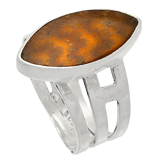 Sutured Ammonite - Madagascar Ring size-7.5 R-1400 SDR230321