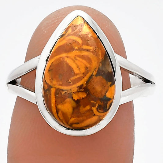 Coquina Fossil Jasper - India Ring size-9 R-1005 SDR230573