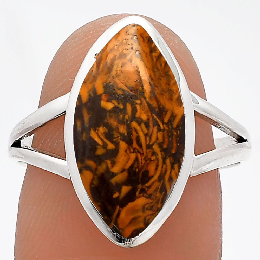 Coquina Fossil Jasper - India Ring size-9 R-1005 SDR230675