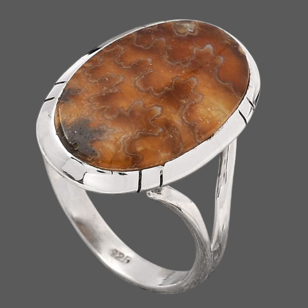 Natural Sutured Ammonite Madagascar Ring size-9 R-1418 SDR245699
