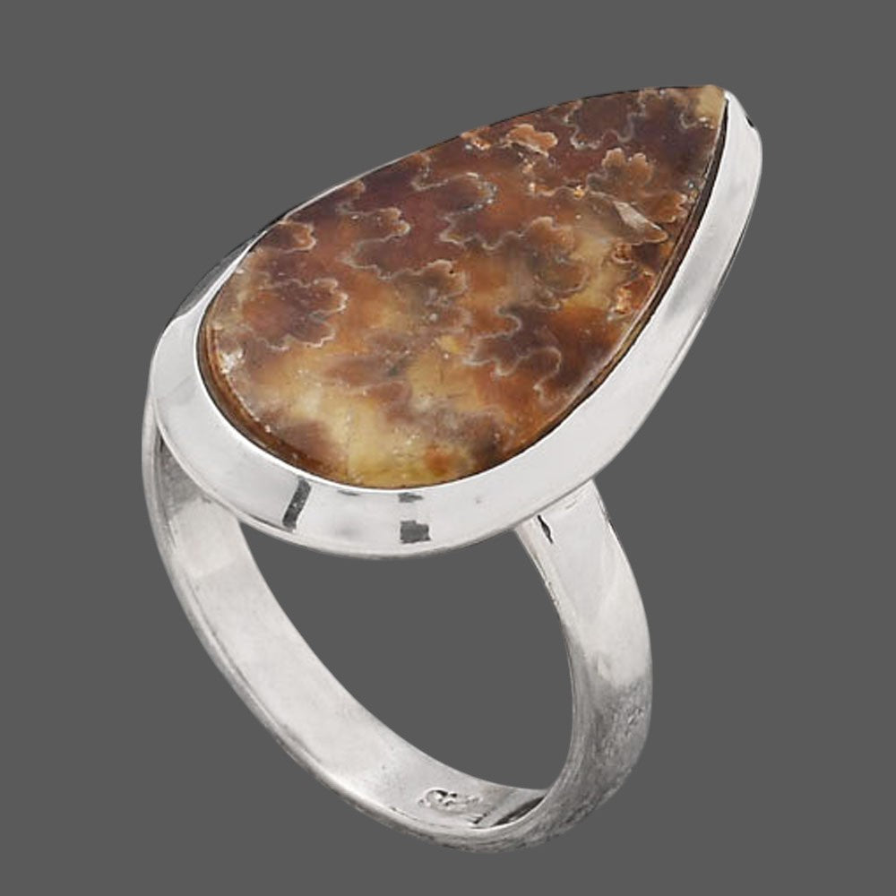 Sutured Ammonite - Madagascar Ring size-6.5 R-1004 SDR245704