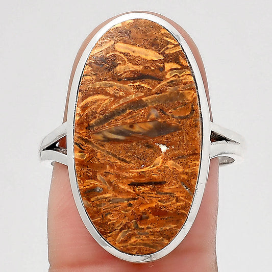 Natural Coquina Fossil Jasper India Ring size-9 R-1005 SDR246733