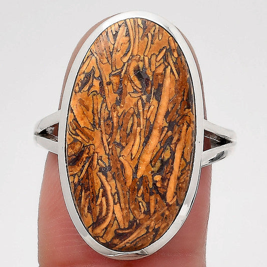 Natural Coquina Fossil Jasper India Ring size-8 R-1005 SDR246772