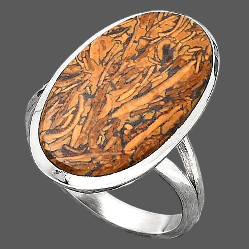 Natural Coquina Fossil Jasper India Ring size-8 R-1005 SDR246772