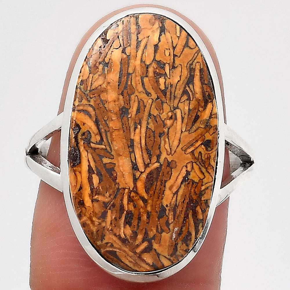Natural Coquina Fossil Jasper India Ring size-8 R-1005 SDR246788