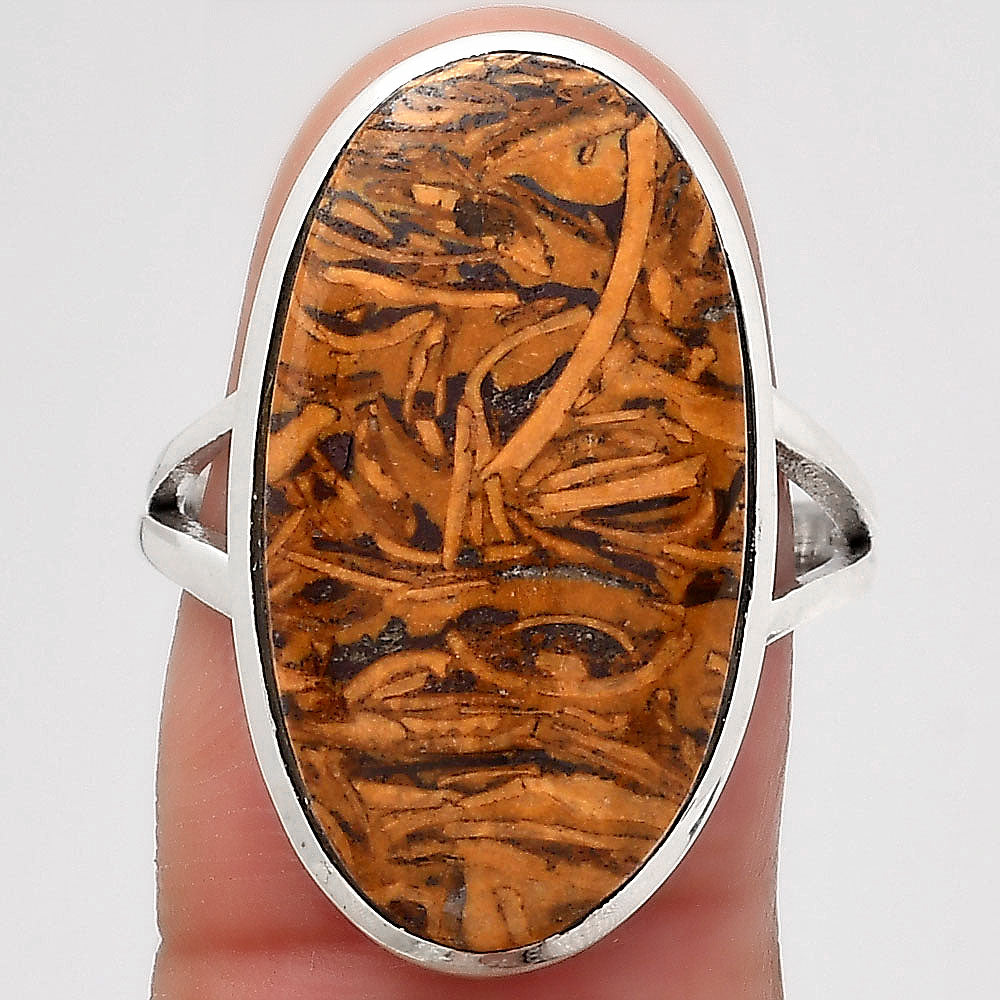 Natural Coquina Fossil Jasper India Ring size-8 R-1005 SDR246794